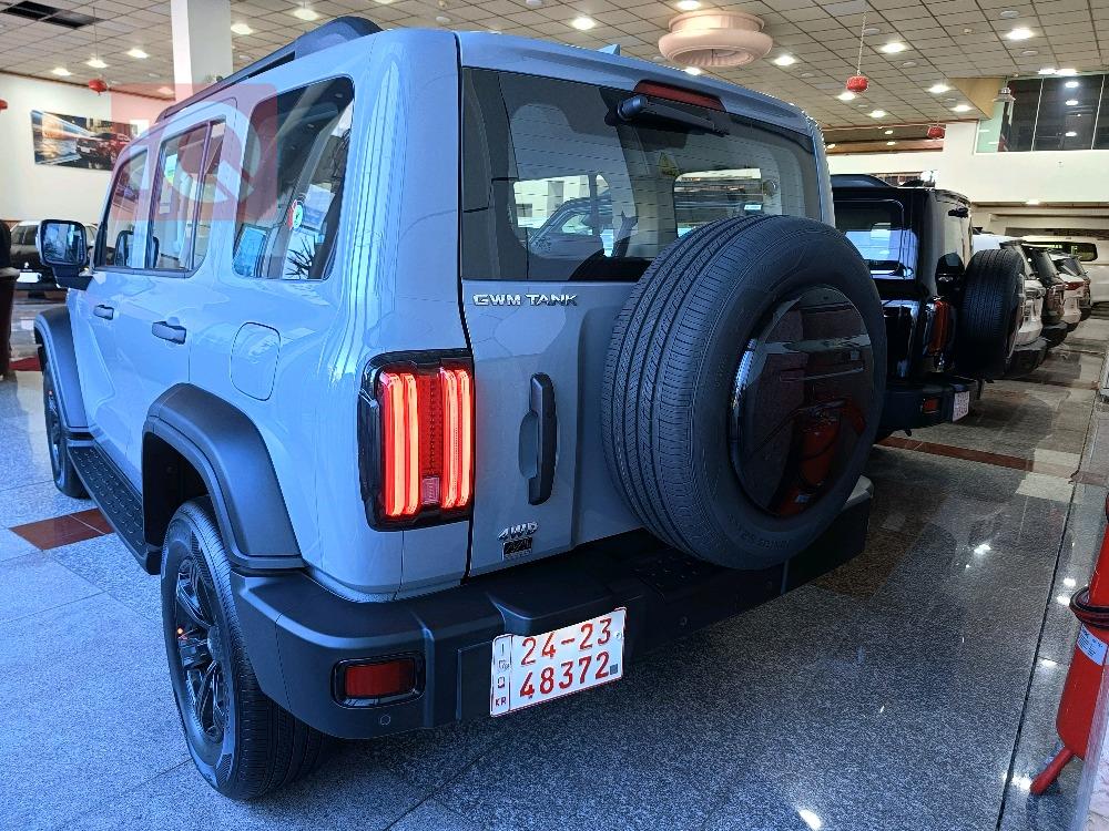 Great Wall 300